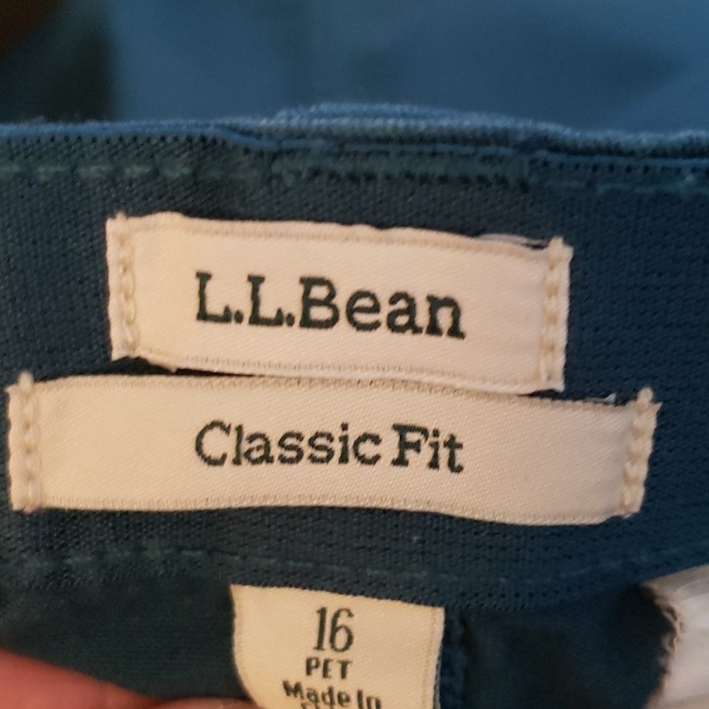 L.L. Bean Perfect Fit Evergreen Cotton Blend Mini Skirt Size 16P - Picture 3 of 7